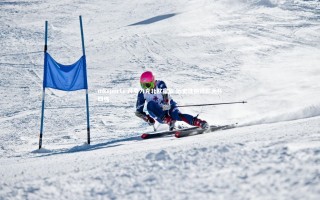 mksports-丹麦力克北欧宿敌 历史性挺进欧洲杯四强