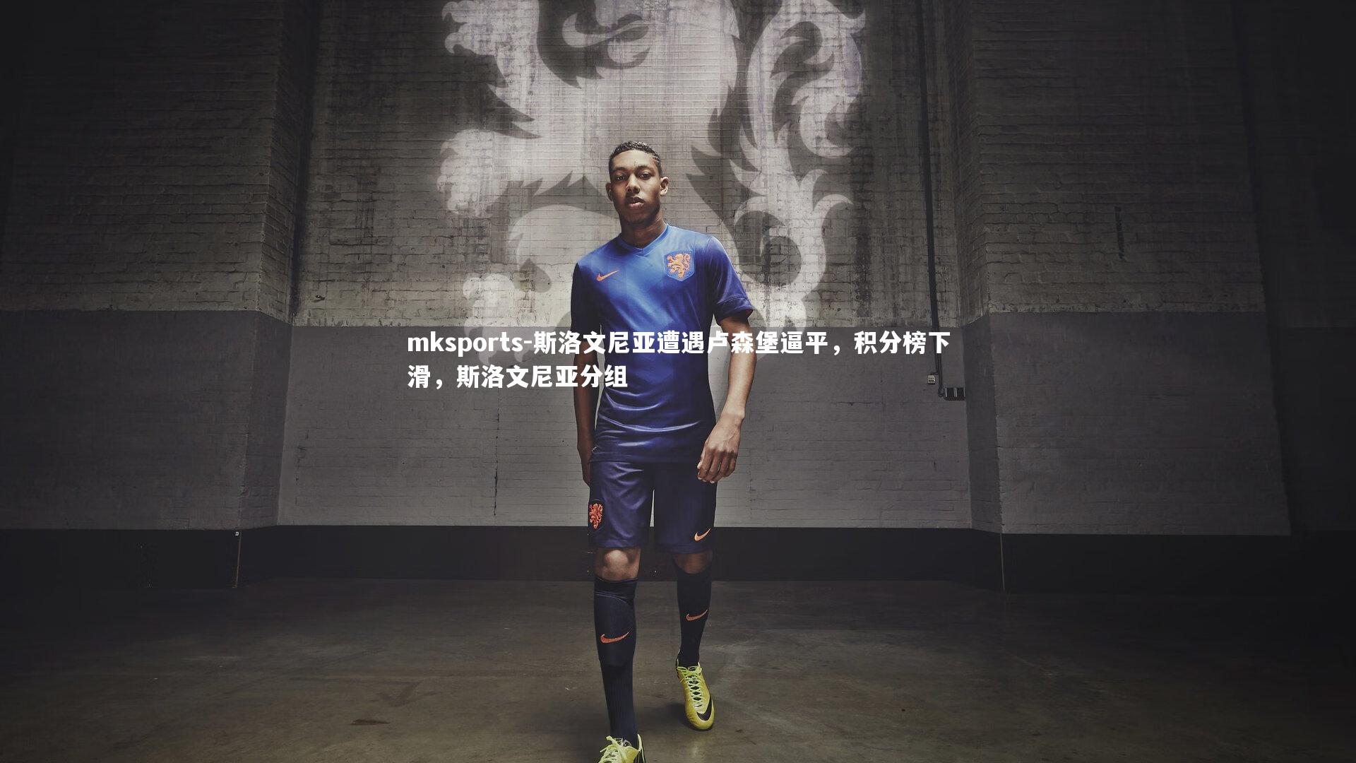 mksports-斯洛文尼亚遭遇卢森堡逼平，积分榜下滑，斯洛文尼亚分组-第2张图片-mksports