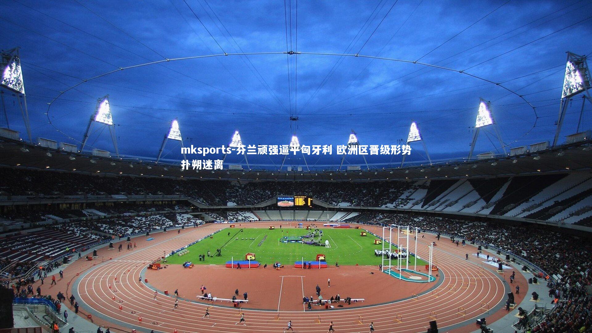 mksports-芬兰顽强逼平匈牙利 欧洲区晋级形势扑朔迷离-第2张图片-mksports